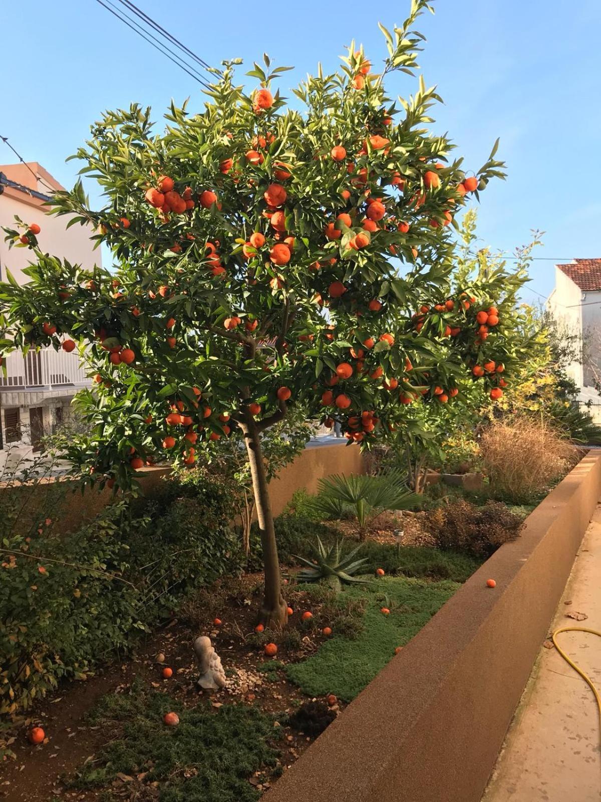 Villa Bozana تروغير المظهر الخارجي الصورة